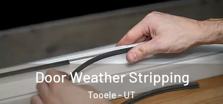 Door Weather Stripping Tooele - UT