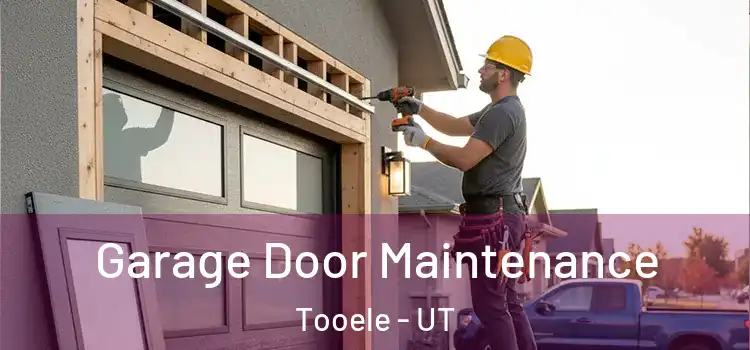 Garage Door Maintenance Tooele - UT