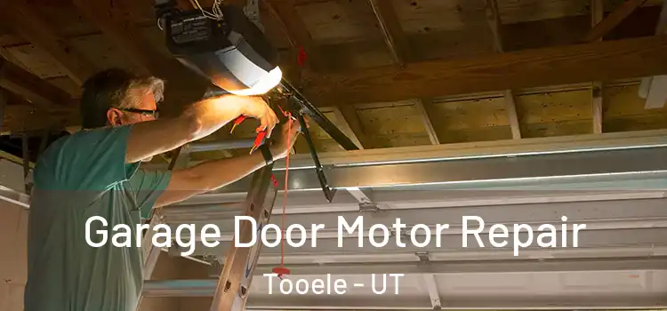  Garage Door Motor Repair Tooele - UT