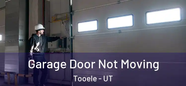  Garage Door Not Moving Tooele - UT