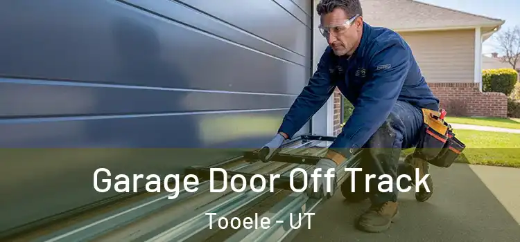  Garage Door Off Track Tooele - UT