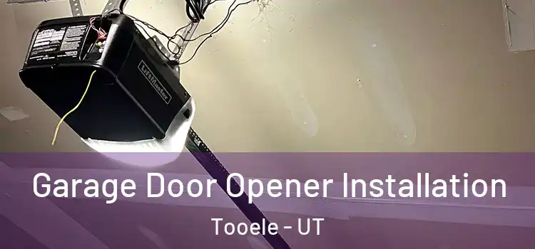  Garage Door Opener Installation Tooele - UT