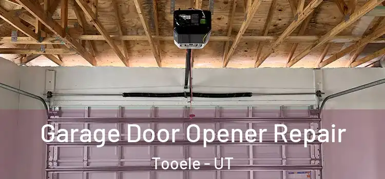  Garage Door Opener Repair Tooele - UT