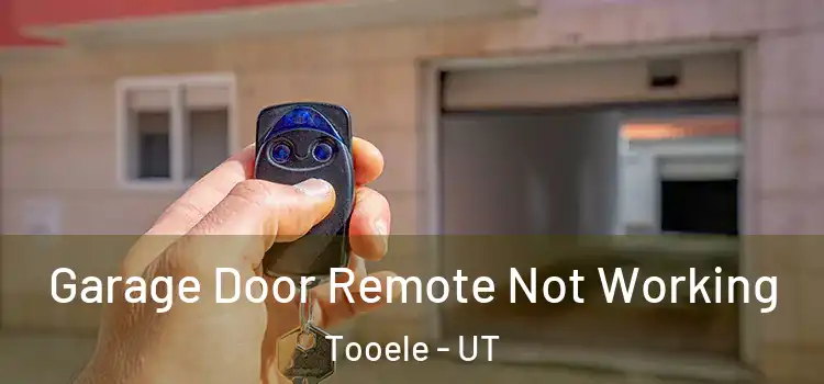  Garage Door Remote Not Working Tooele - UT