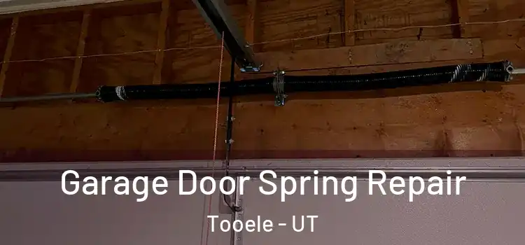 Garage Door Spring Repair Tooele - UT