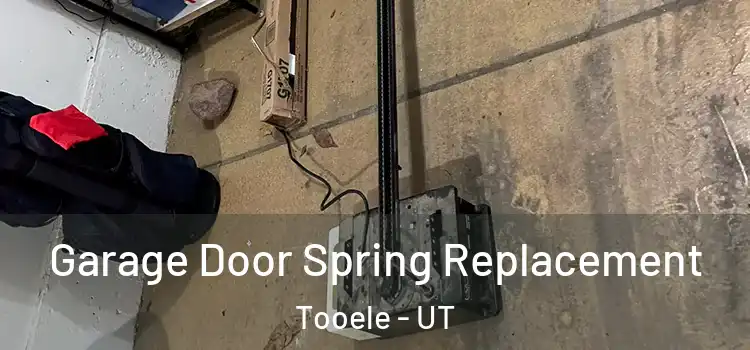  Garage Door Spring Replacement Tooele - UT