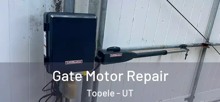 Gate Motor Repair Tooele - UT