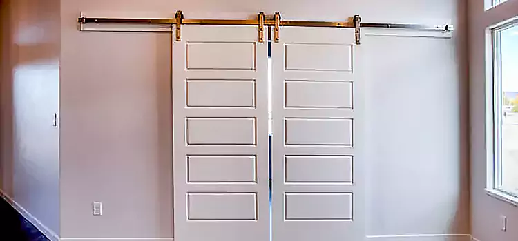 Glass Barn Door with Installation Hardware Kit Tooele