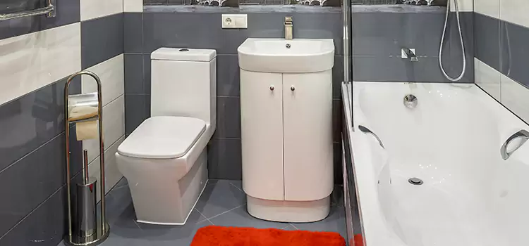 Hansgrohe Shaving Mirror Tooele
