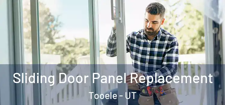 Sliding Door Panel Replacement Tooele - UT